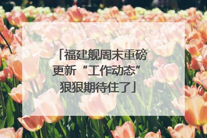 福建舰周末重磅更新“工作动态” 狠狠期待住了
