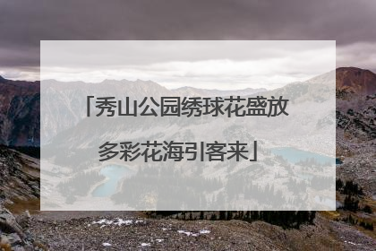 秀山公园绣球花盛放 多彩花海引客来
