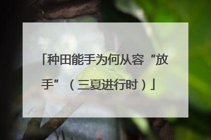 种田能手为何从容“放手”（三夏进行时）