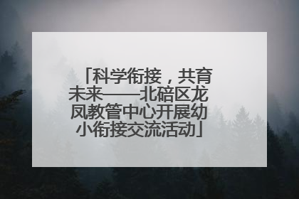 科学衔接，共育未来——北碚区龙凤教管中心开展幼小衔接交流活动