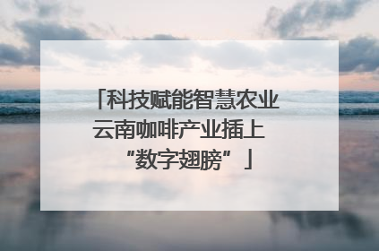 科技赋能智慧农业 云南咖啡产业插上“数字翅膀”