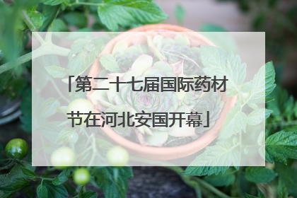 第二十七届国际药材节在河北安国开幕