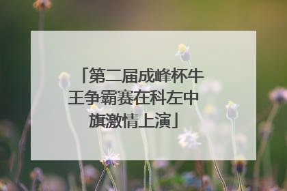 第二届成峰杯牛王争霸赛在科左中旗激情上演