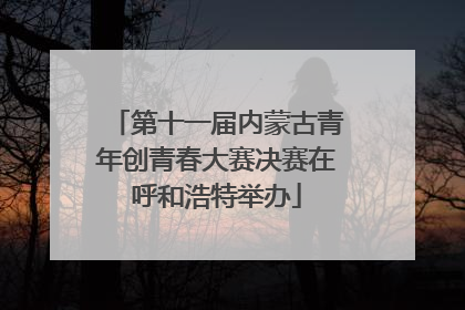 第十一届内蒙古青年创青春大赛决赛在呼和浩特举办
