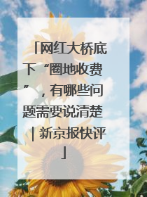 网红大桥底下“圈地收费”，有哪些问题需要说清楚｜新京报快评