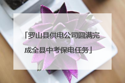 罗山县供电公司圆满完成全县中考保电任务