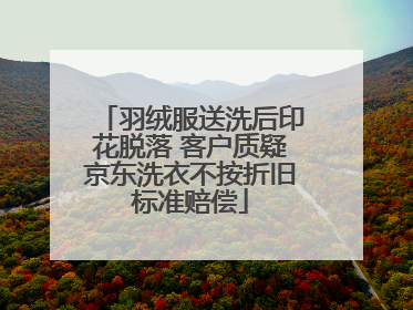 羽绒服送洗后印花脱落 客户质疑京东洗衣不按折旧标准赔偿
