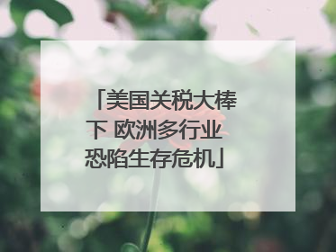 美国关税大棒下 欧洲多行业恐陷生存危机