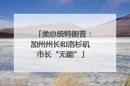 美总统特朗普：加州州长和洛杉矶市长“无能”