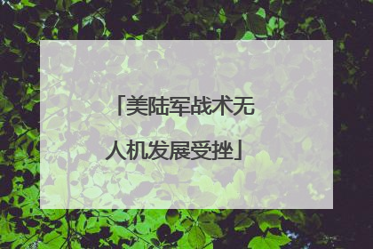 美陆军战术无人机发展受挫