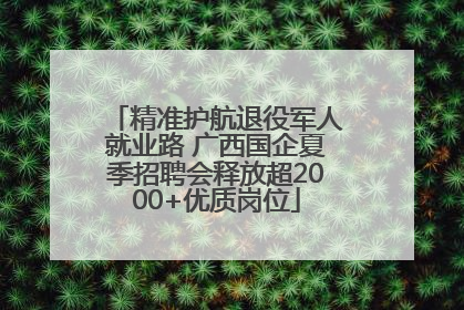 精准护航退役军人就业路 广西国企夏季招聘会释放超2000+优质岗位