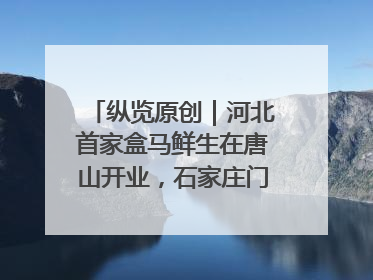 纵览原创｜河北首家盒马鲜生在唐山开业，石家庄门店预计8月开业