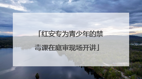红安专为青少年的禁毒课在庭审现场开讲
