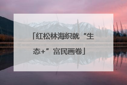 红松林海织就“生态+”富民画卷