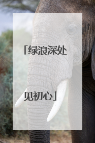 绿浪深处见初心