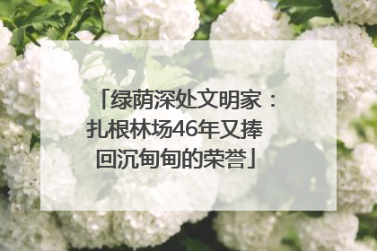 绿荫深处文明家：扎根林场46年又捧回沉甸甸的荣誉