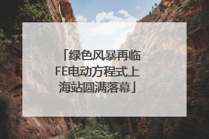 绿色风暴再临 FE电动方程式上海站圆满落幕