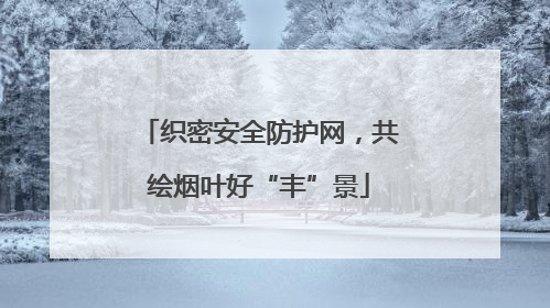 织密安全防护网，共绘烟叶好“丰”景