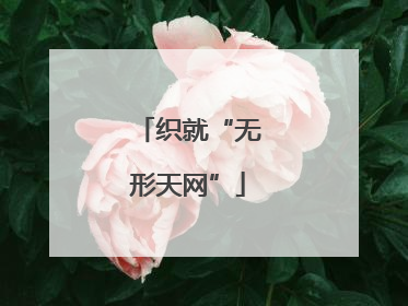织就“无形天网”