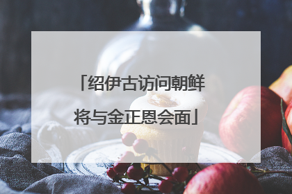 绍伊古访问朝鲜 将与金正恩会面