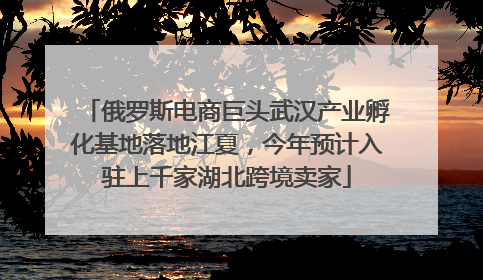 俄罗斯电商巨头武汉产业孵化基地落地江夏，今年预计入驻上千家湖北跨境卖家