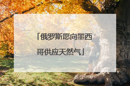 俄罗斯愿向墨西哥供应天然气