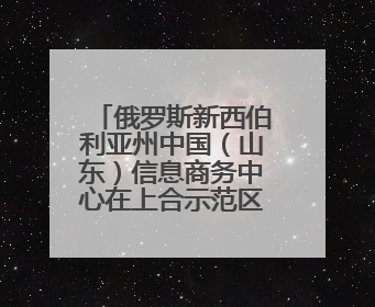 俄罗斯新西伯利亚州中国（山东）信息商务中心在上合示范区揭牌