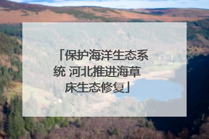 保护海洋生态系统 河北推进海草床生态修复
