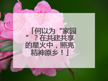 何以为“家园”？在共建共享的星火中，照亮精神原乡！