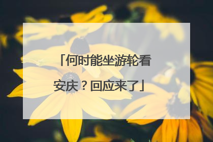 何时能坐游轮看安庆？回应来了