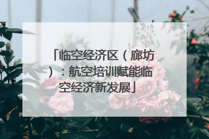 临空经济区（廊坊）：航空培训赋能临空经济新发展