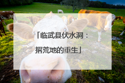 临武县伏水洞：撂荒地的重生