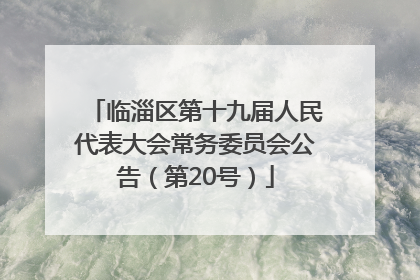 临淄区第十九届人民代表大会常务委员会公告（第20号）