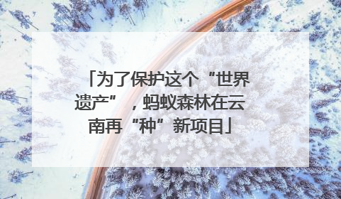 为了保护这个“世界遗产”，蚂蚁森林在云南再“种”新项目