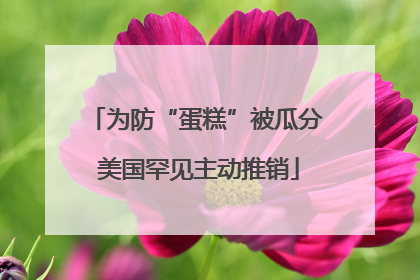 为防“蛋糕”被瓜分 美国罕见主动推销