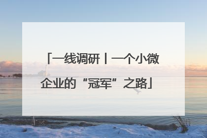 一线调研丨一个小微企业的“冠军”之路