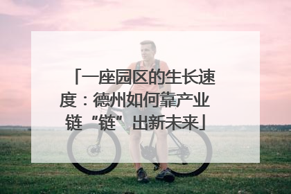 一座园区的生长速度：德州如何靠产业链“链”出新未来