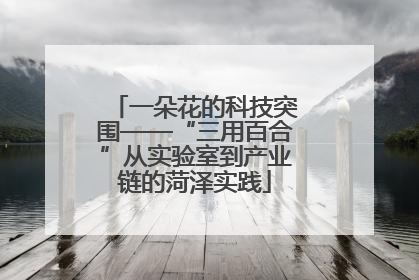 一朵花的科技突围——“三用百合”从实验室到产业链的菏泽实践