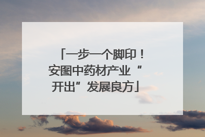 一步一个脚印！安图中药材产业“开出”发展良方
