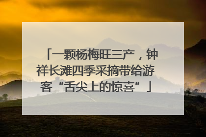 一颗杨梅旺三产，钟祥长滩四季采摘带给游客“舌尖上的惊喜”