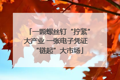一颗螺丝钉“拧紧”大产业 一张电子凭证“链起”大市场