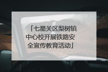 七星关区梨树镇中心校开展铁路安全宣传教育活动