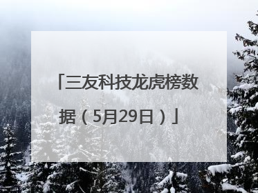 三友科技龙虎榜数据（5月29日）