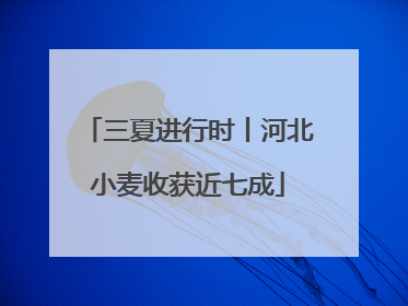 三夏进行时丨河北小麦收获近七成