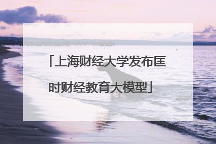 上海财经大学发布匡时财经教育大模型