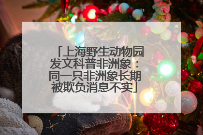 上海野生动物园发文科普非洲象：同一只非洲象长期被欺负消息不实