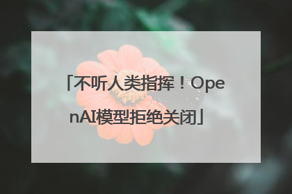 不听人类指挥！OpenAI模型拒绝关闭