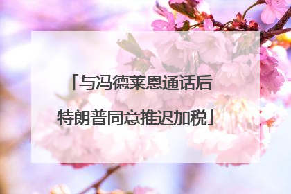 与冯德莱恩通话后 特朗普同意推迟加税