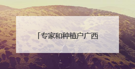 专家和种植户广西柳州探寻玉米产业提质增效新路径