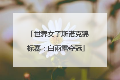 世界女子斯诺克锦标赛：白雨露夺冠